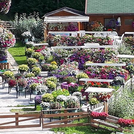 Appartement Planaiblick Schladming Ngoại thất bức ảnh